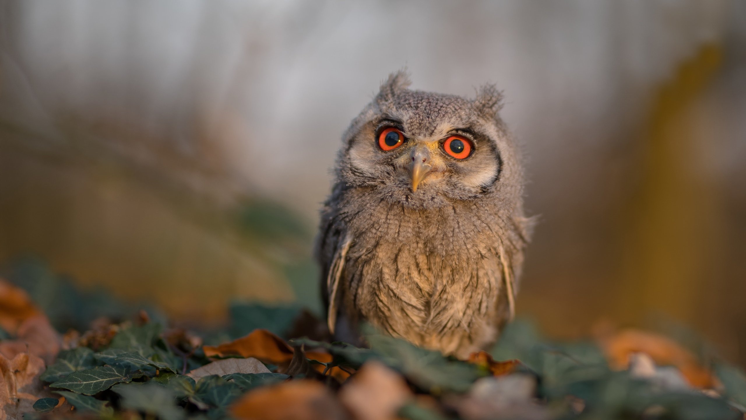 751.“青春启航”青少年篮球体验营在武汉拉开帷幕,推动全民健身