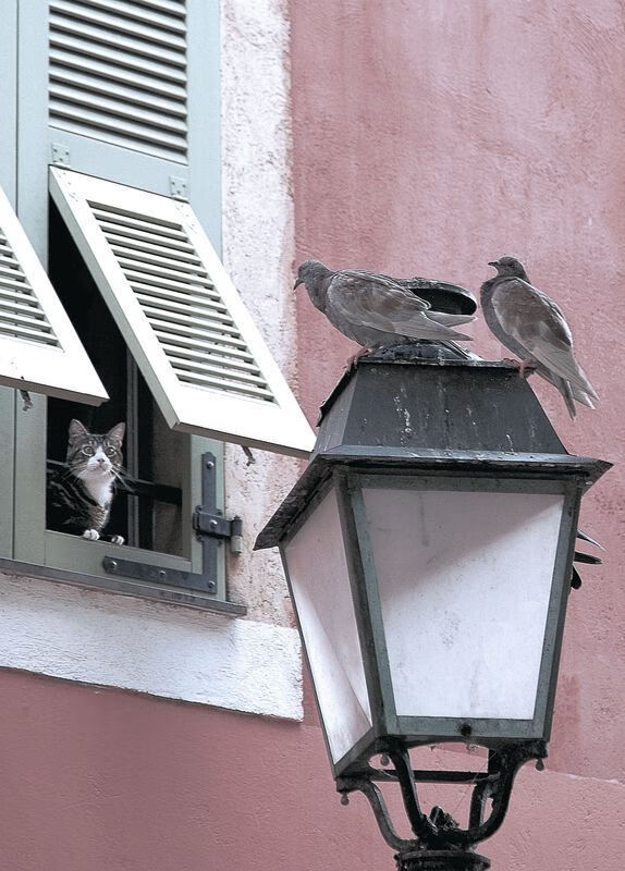 “德甲火药味十足，争冠集团逐渐成形”，争冠组赛程