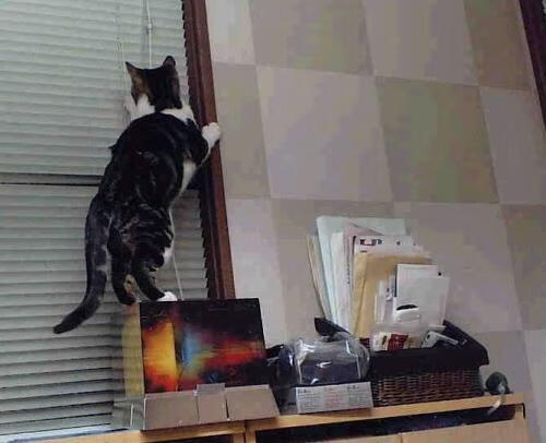 爱游戏在线登录入口-“英超进入收官冲刺，争冠格局待定”，英超争冠2021