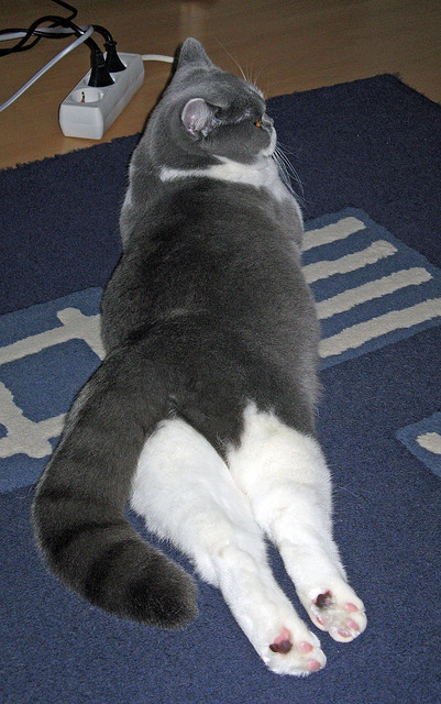 爱游戏 电竞-《菲律宾星报》称杭州亚运会开幕式为“高科技”“令人惊叹”的盛景。