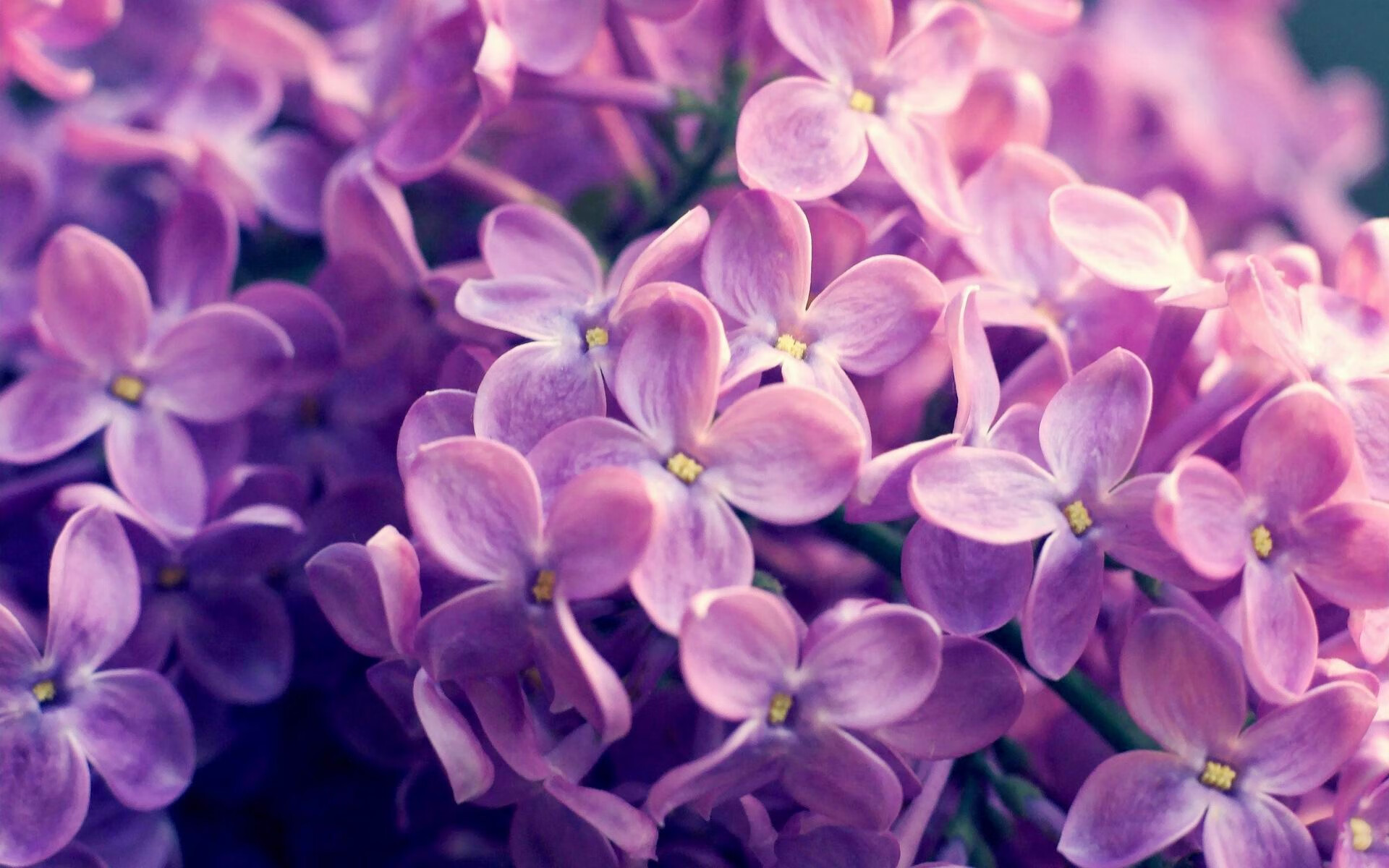 中超新政实施:引援限薪,鼓励青训出头,中超引援限制