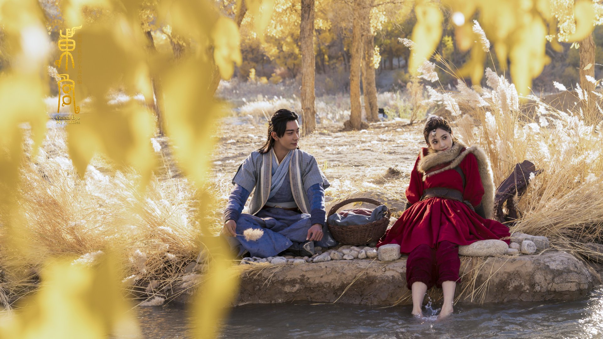 德甲著名教练换帅,战术调整引关注,德甲球员撞教练