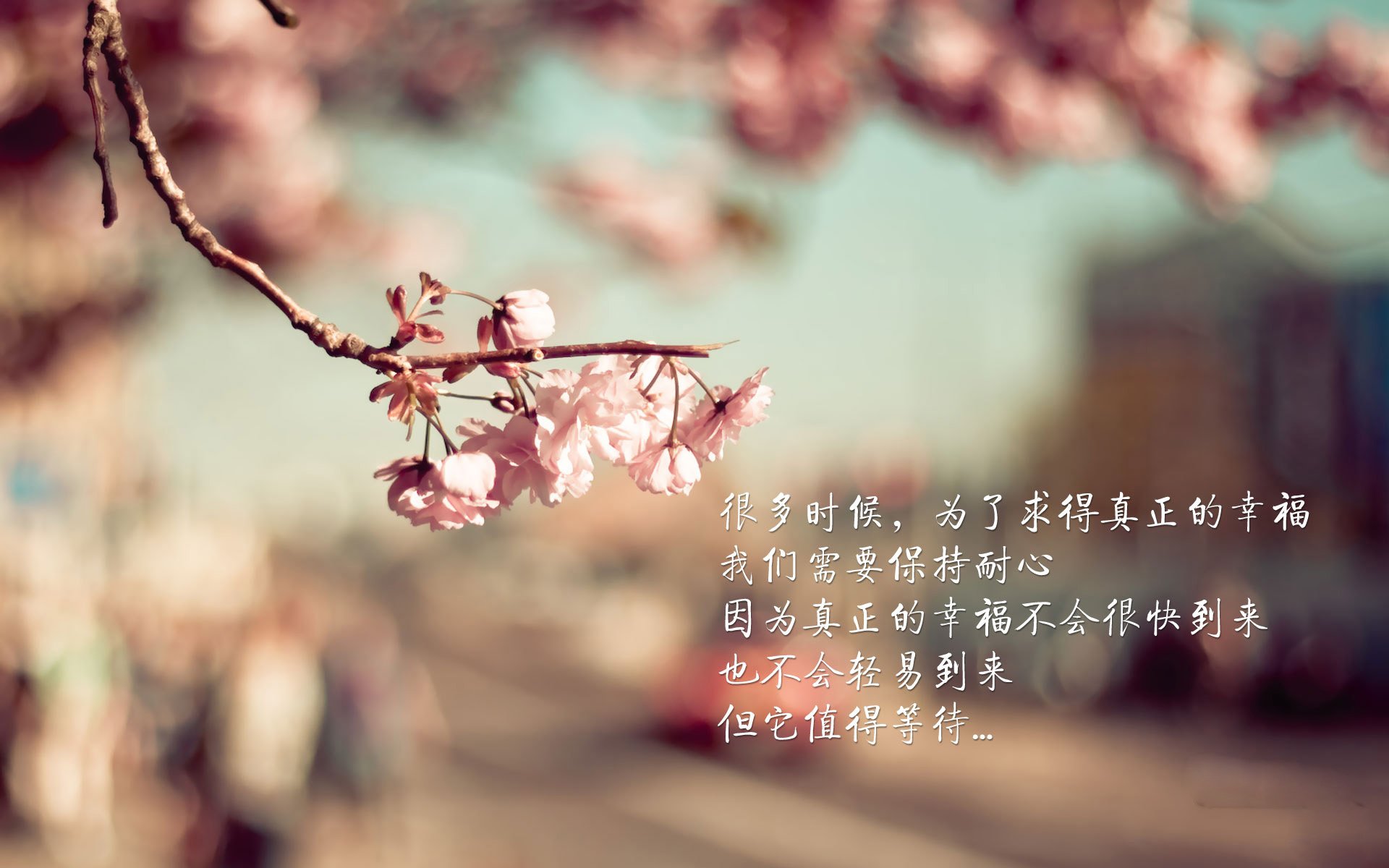 篮球训练视频教学平台内容持续丰富,篮球训练视频教学平台内容持续丰富怎么办