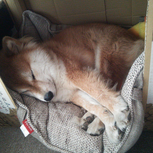 英超:切尔西2-3不敌利物浦,哈弗茨破门但未能逆转,英超联赛切尔西