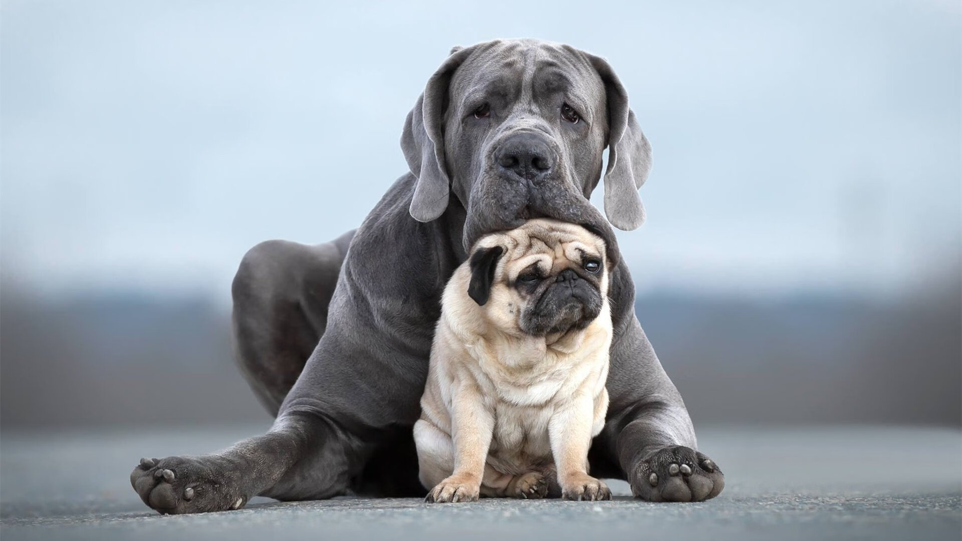 俱乐部文化是否会影响球员个体风格形成,俱乐部影响力