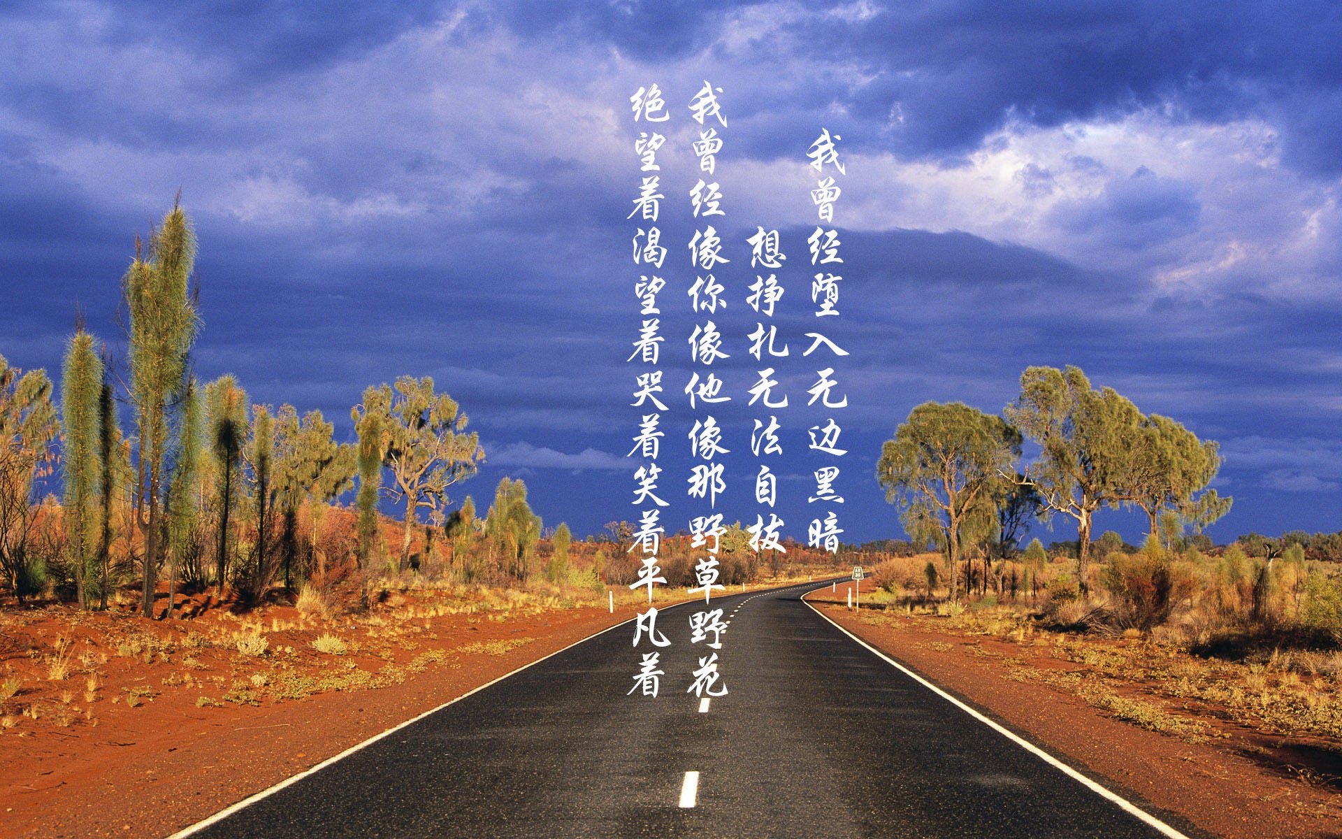 爱游戏体育（AYX）官方APP下载-墨西哥马术协会建立马匹基因数据库，促进马匹选育与训练。，墨西哥马鞍