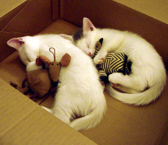 爱游戏综合娱乐-欧国联赛战术紧凑，球员全力以赴，欧国联赛程表2020