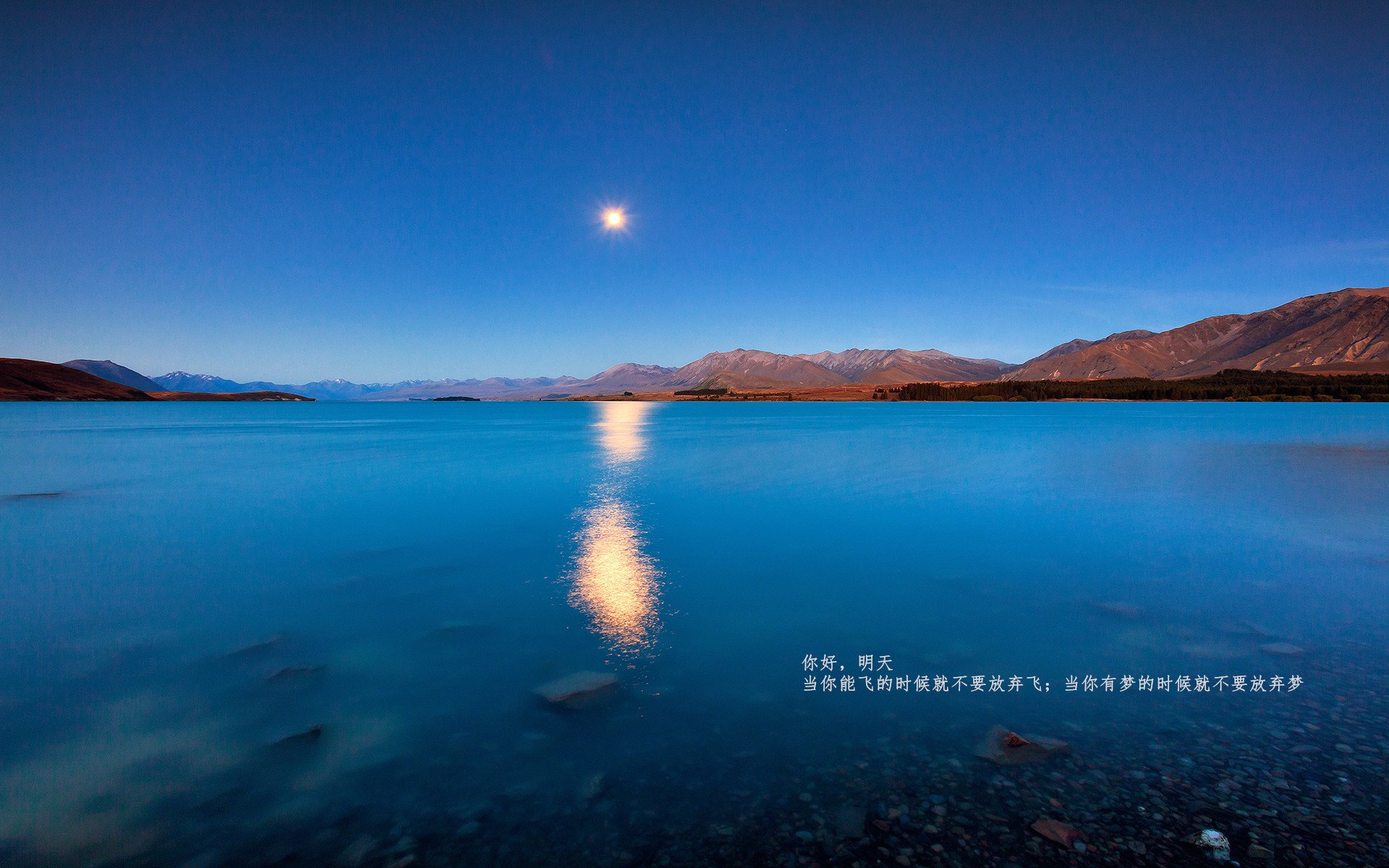 法国队止步欧洲杯八强,德尚面临下课压力,法国德国欧洲杯集锦