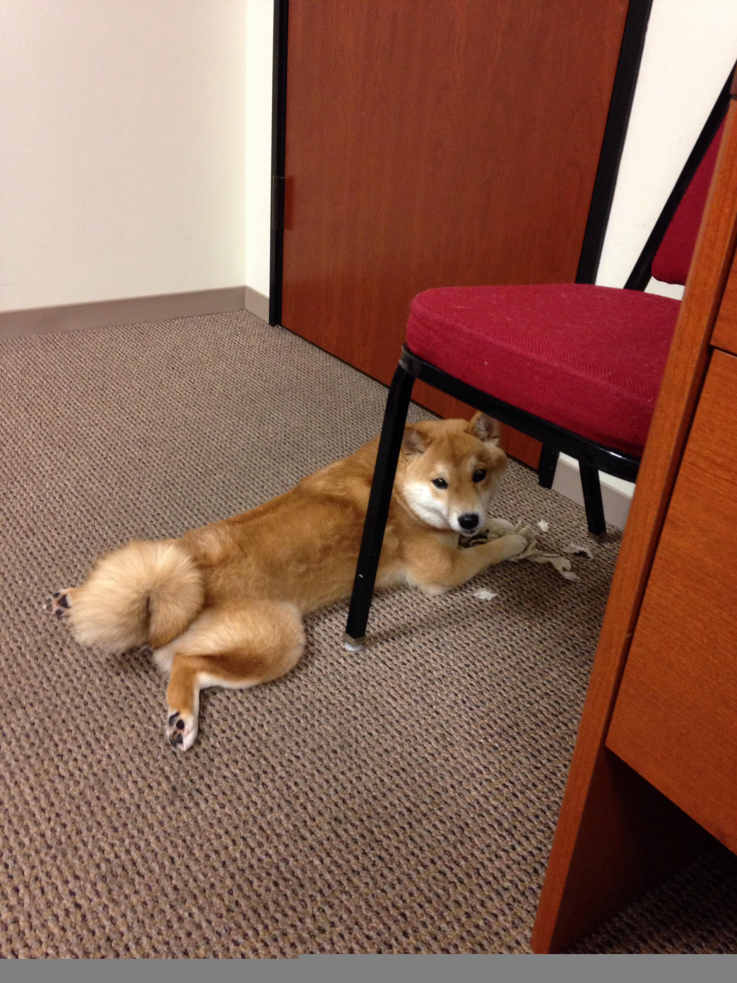 球队本地文化融入是否提升球迷黏性,球队文化如何打造