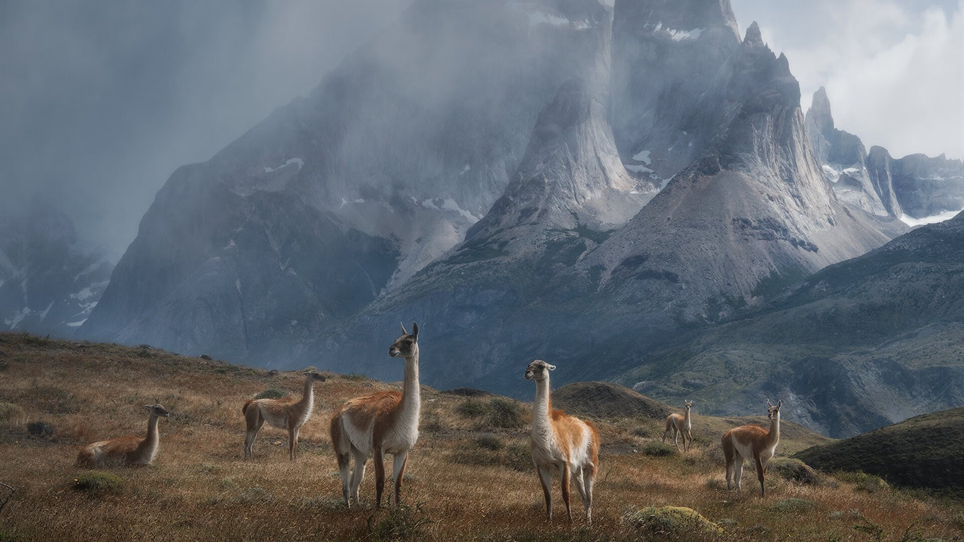 爱游戏下载-美洲青年篮球发展计划启动，2020美洲篮球锦标赛