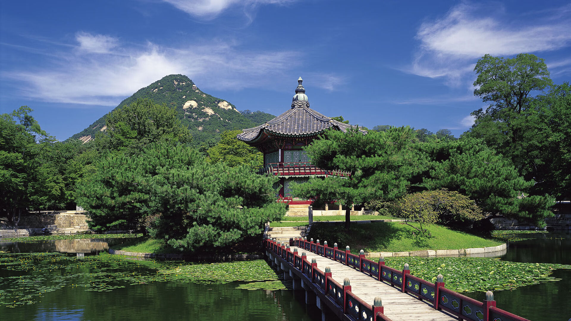 美球员表现抢眼,成为球队核心战力,美国球员有哪些