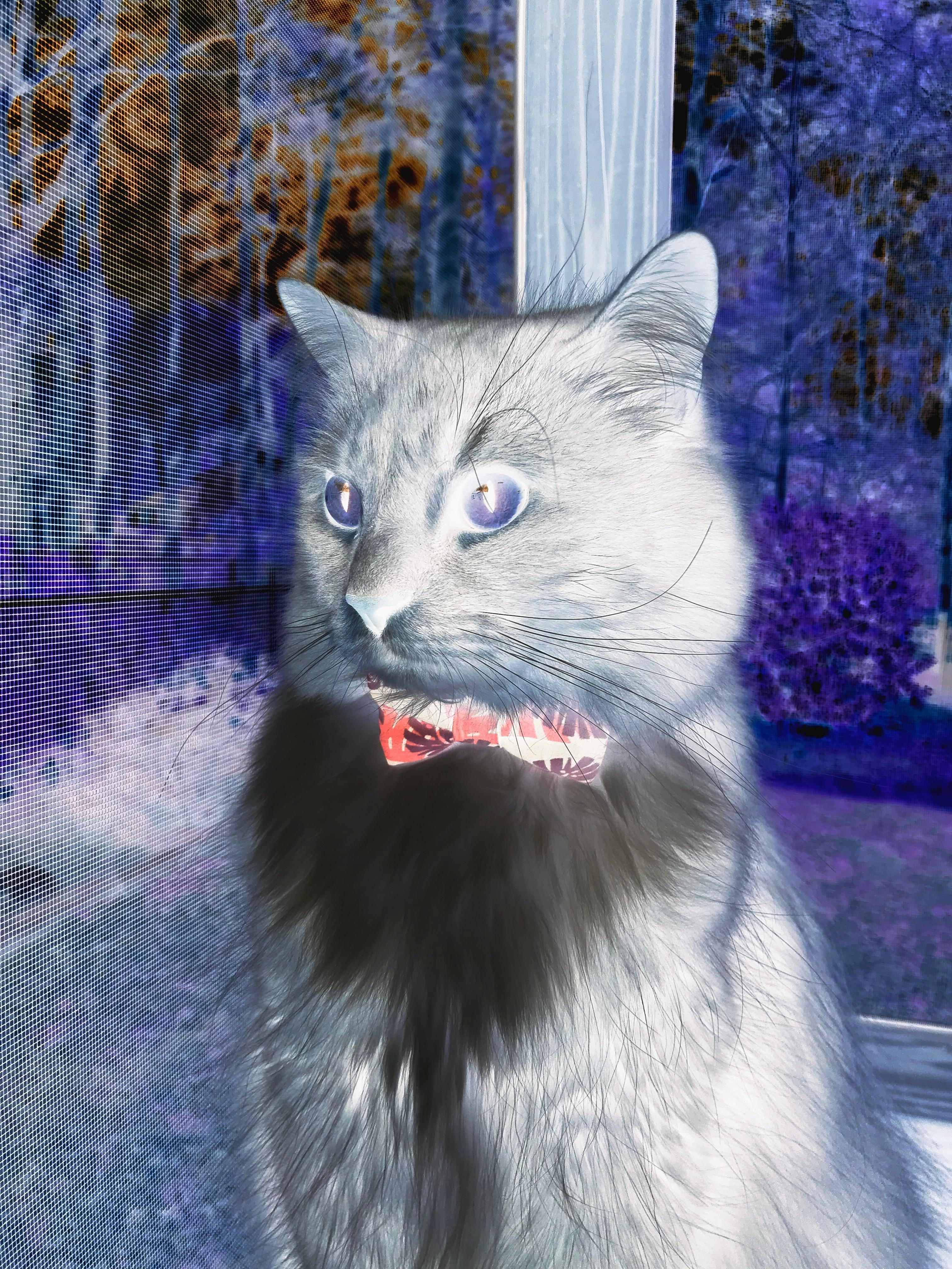 AYX GAME-美网女单八强全部产生，郑钦文强势晋级，美网女双冠军