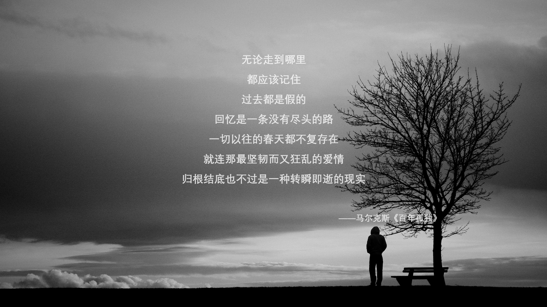 世界纪录选手划水周期大公开，划水冠军表情包