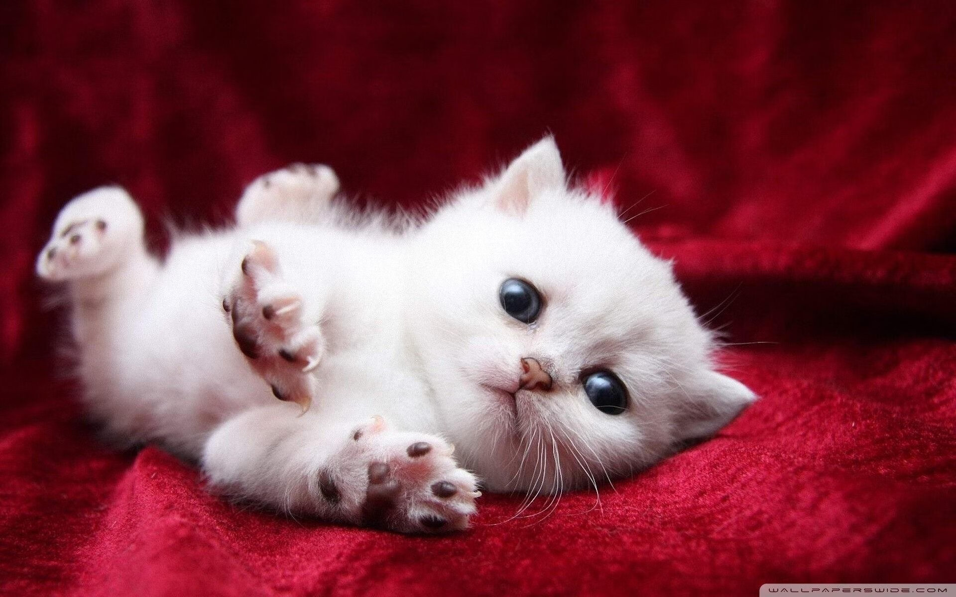 奥预赛中国青年队平局 技术层面仍需优化,青奥赛ymo