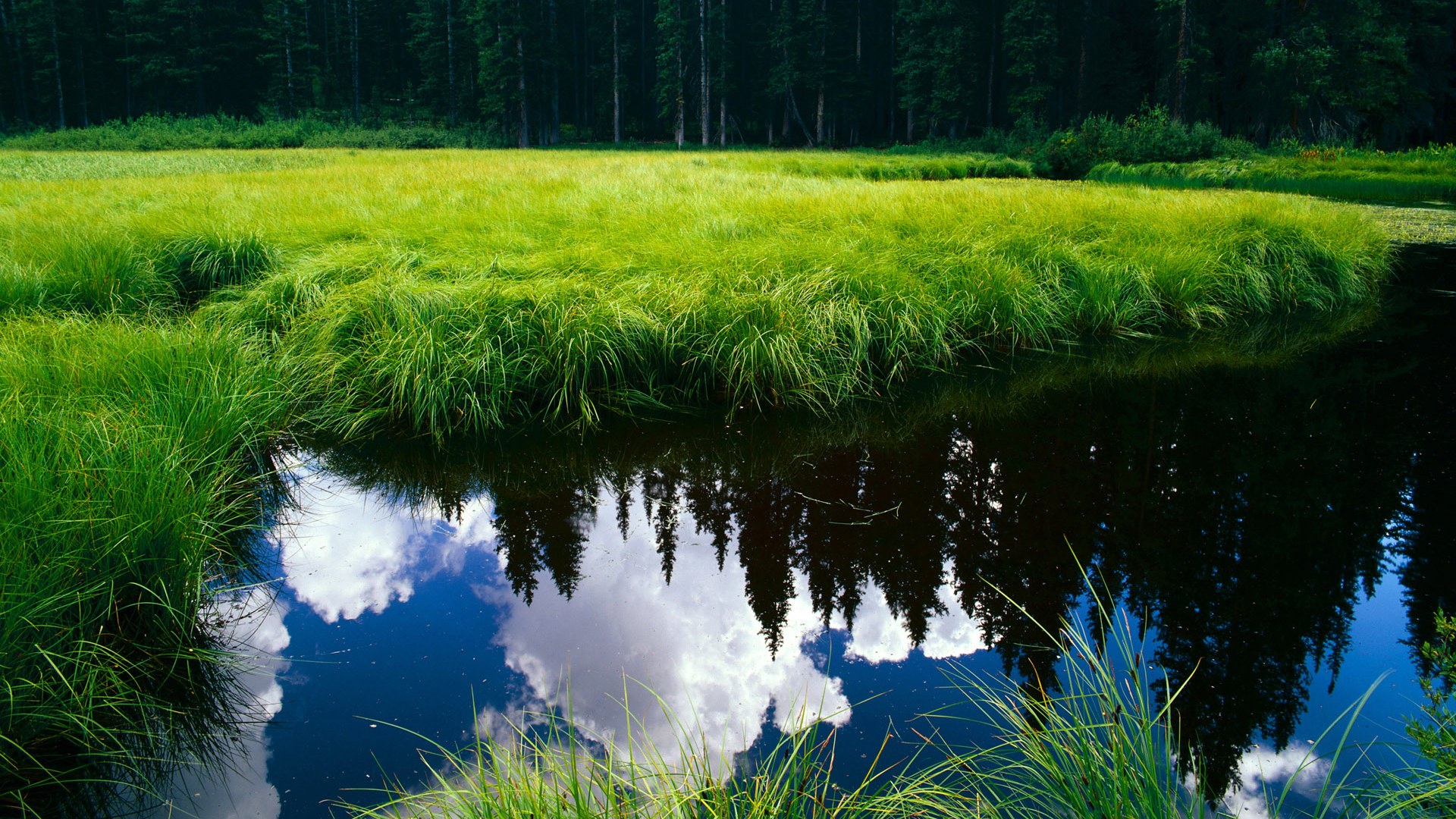 爱游戏中国官方网站平台-球队未曾参加奥运会比赛，球队未曾参加奥运会比赛怎么办