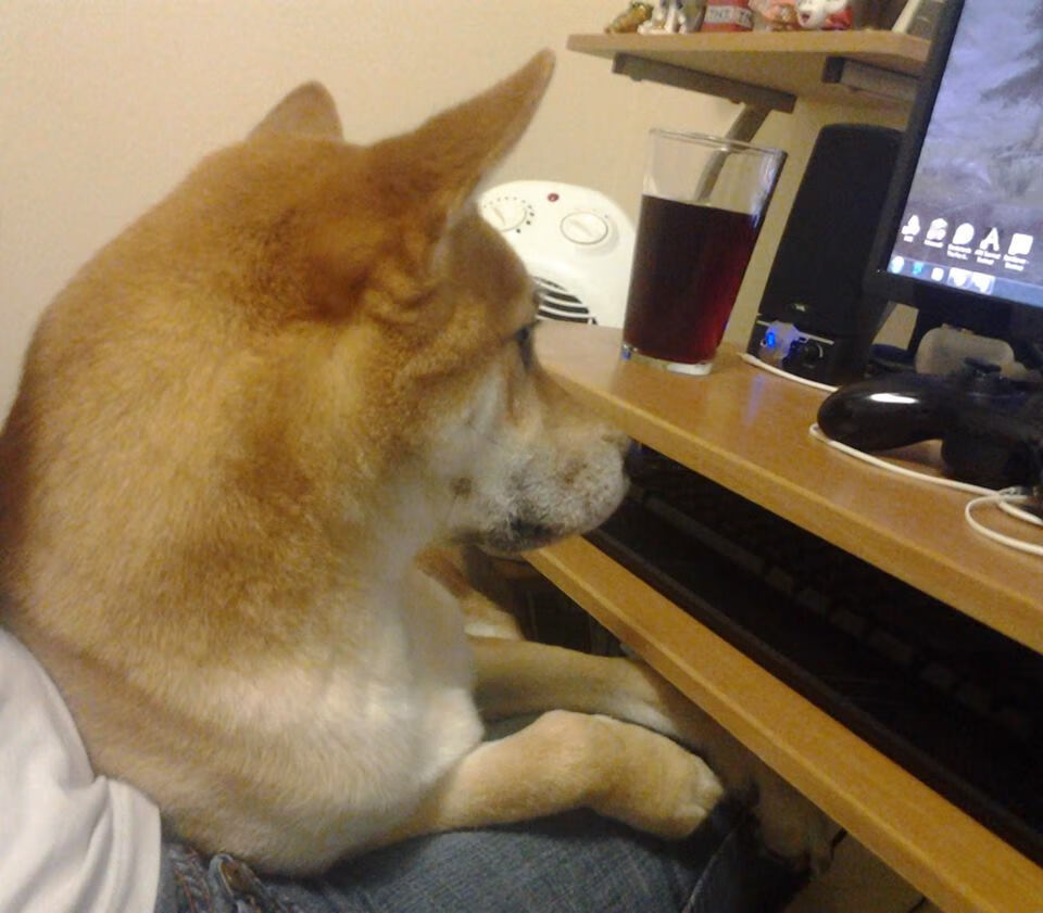 AYX GAMING-赛事运营团队高效配合确保各个环节无缝衔接顺利推进，赛事合作方案