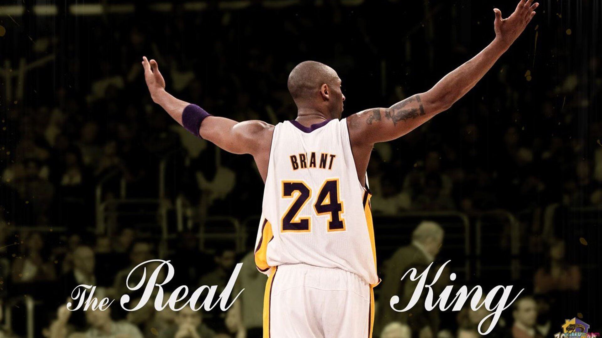 爱游戏体育平台-最萌球迷:他们的应援姿势火遍网络,篮球应援